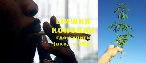 дмт Магас