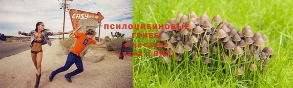 дурь Магадан