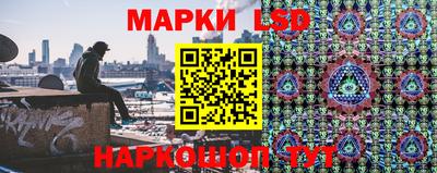 шишки Гусиноозёрск