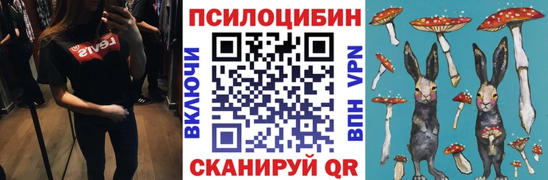 Галлюциногенные грибы MAGIC MUSHROOMS  нарко площадка какой сайт  Черкесск 