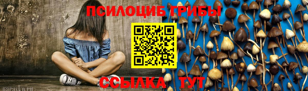 Черкесск  где можно купить наркотик  Вход с VPN  Псилоцибиновые грибы GOLDEN TEACHER 