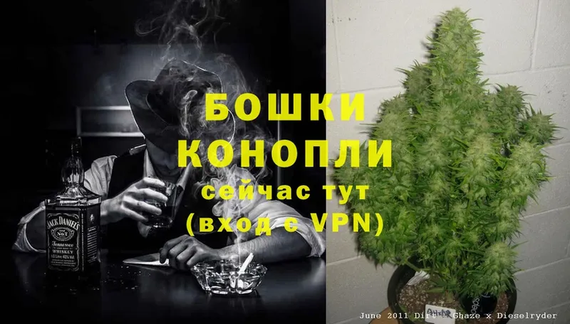 Конопля OG Kush  darknet клад  Черкесск 